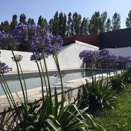 Belle Avec Piscine, Proche Et Centre De - Fr-1-239-718 Saint-Jean-de-Luz